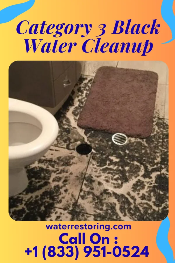 Category 3 Black Water Cleanup in Briarcliff Manor, NY