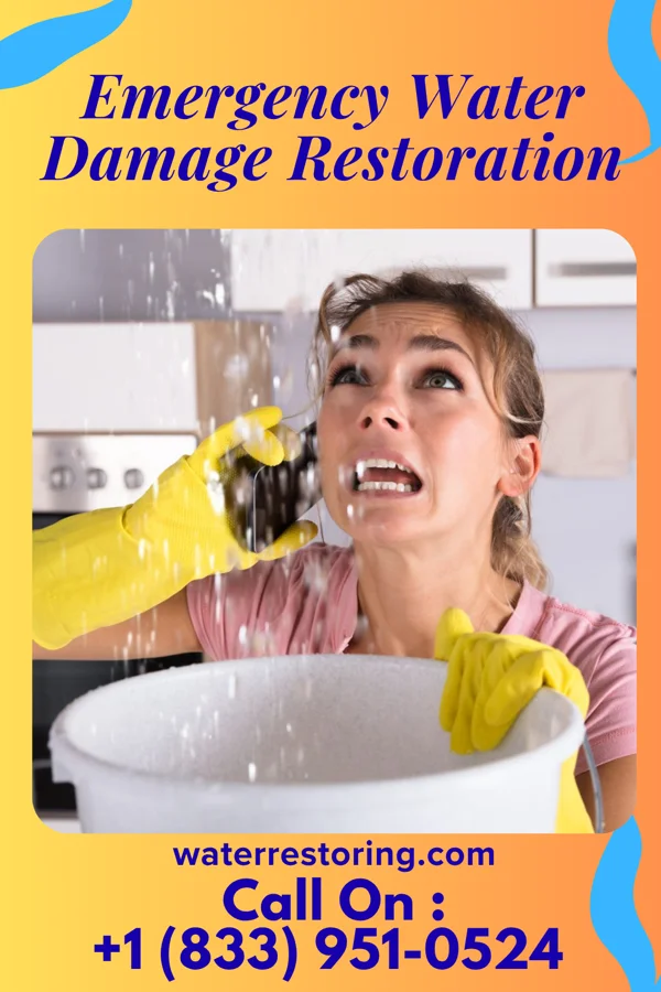 Emergency Water Damage Restoration in Briarcliff Manor, NY