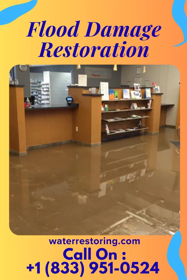 Flood Damage Restoration in Briarcliff Manor, NY