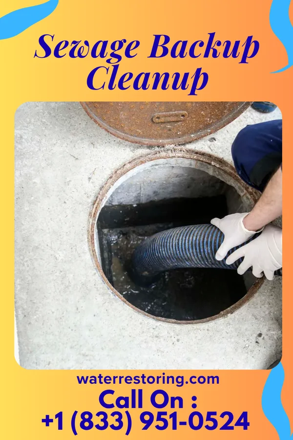 Sewage Backup Cleanup in Briarcliff Manor, NY