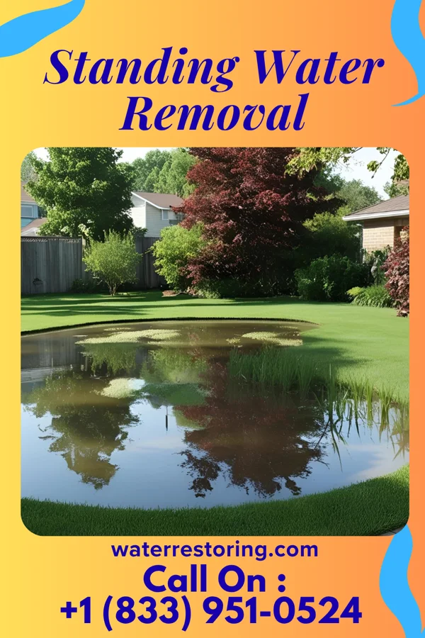 Standing Water Removal in Briarcliff Manor, NY